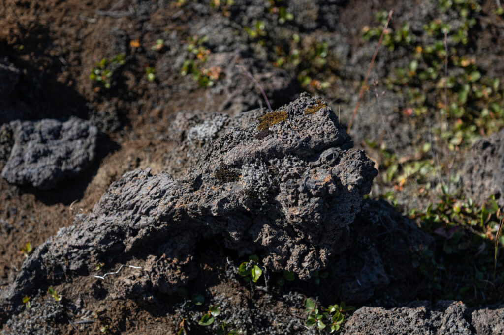 Closeup of a Lava Rock