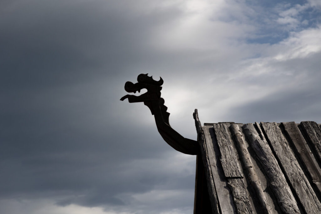 Dragon Motif on Roof
