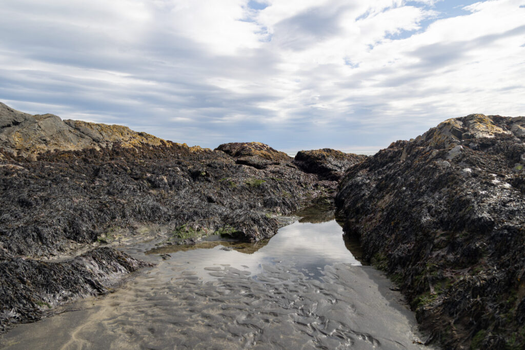 Stoksnes Beach Tide Pools